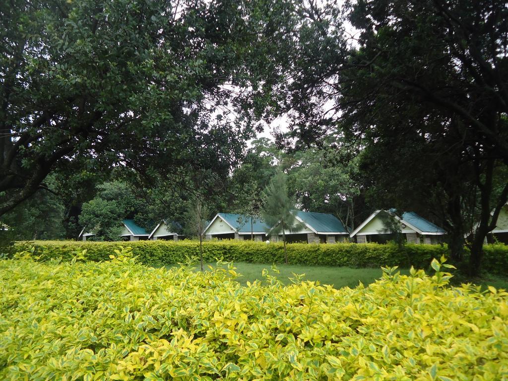 מלון Ololaimutiek Rhino Tourist Camp מראה חיצוני תמונה